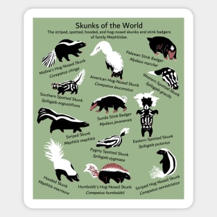 Skunks of the World: Species of Mephitidae Sticker